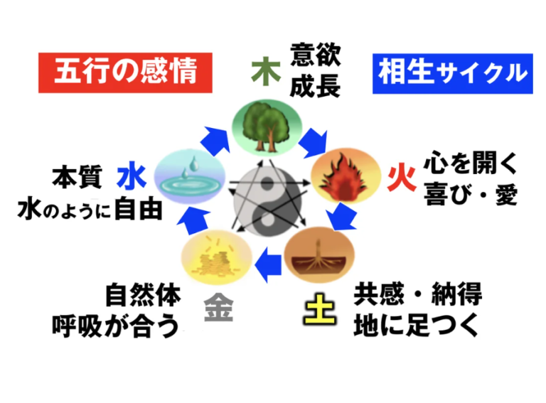 だるまんの陰陽五行　精神世界　五行易　断易　五行　占い だるまんの陰陽五行 「金」の章(天の不思議を測るの巻) (マンガ